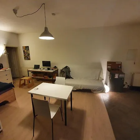 Lichtdurchflutetes Studio/Wohnung Mit Terrasse *